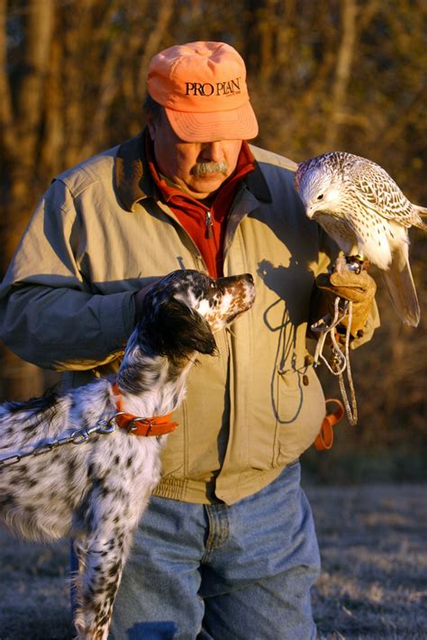 Falconry 101: An Introduction To The Basics and History of the Sport