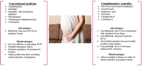 Frontiers | Examination of Complementary Medicine for Treating Urinary Tract Infections Among ...