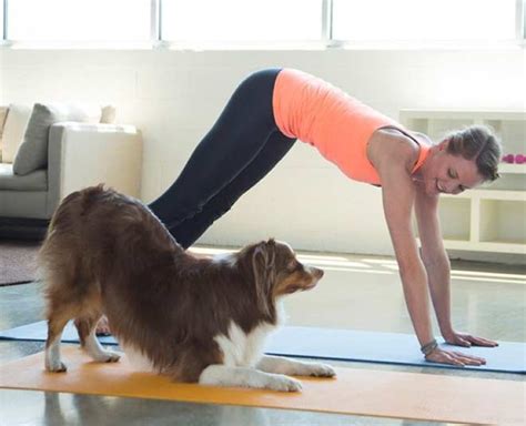 All You Need To Know About The Trending Dog Yoga | HerZindagi