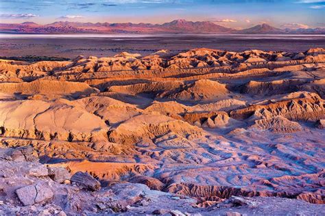 Bacteria fly into the Atacama Desert every afternoon on the wind | New ...