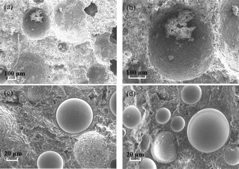 Microstructure of foamed cement: (a,b) is the hardened cement without ...