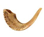 Shofar Blowing Tips and Techniques