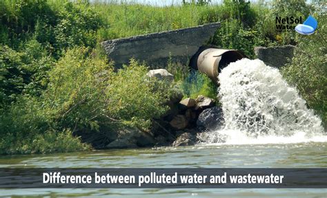 Difference between polluted water and wastewater