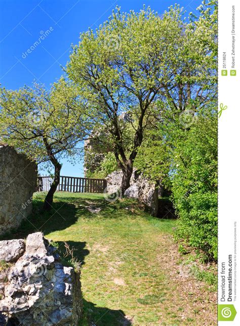 Falkenstein Castle Ruins, Lower Austria Stock Photo - Image of ages, culture: 25118624