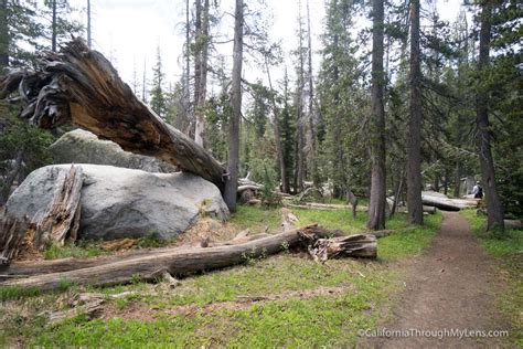 Clouds Rest Trail: A Hiking Guide to One of Yosemite's Best Viewpoints - California Through My Lens