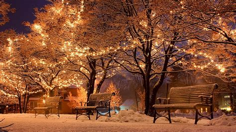 HD wallpaper: winter, snow, christmas lights, branch, tree, night, evening | Wallpaper Flare