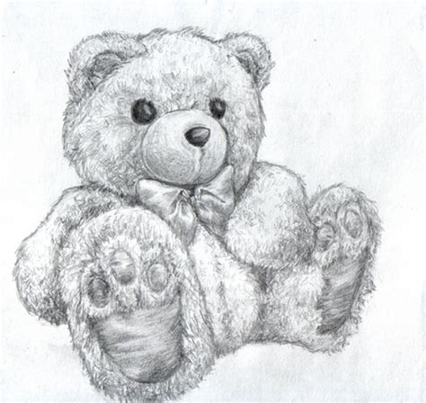 10+ Lovely Teddy Bear Drawings for Inspiration - Hative