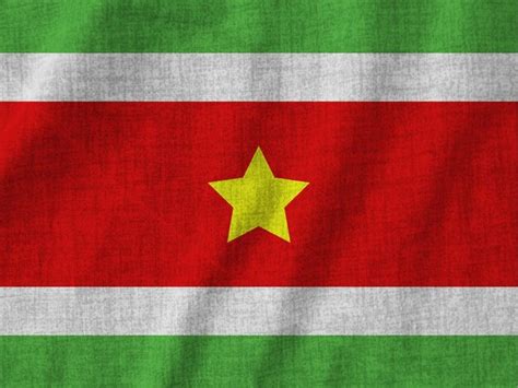 Premium Photo | Suriname flag