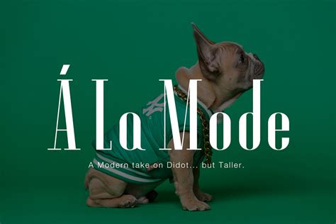 A La Mode :: Behance