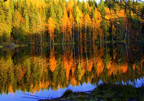 The autumn colors. | Autumn and fall colors,,calm pond. | yrjö jyske | Flickr