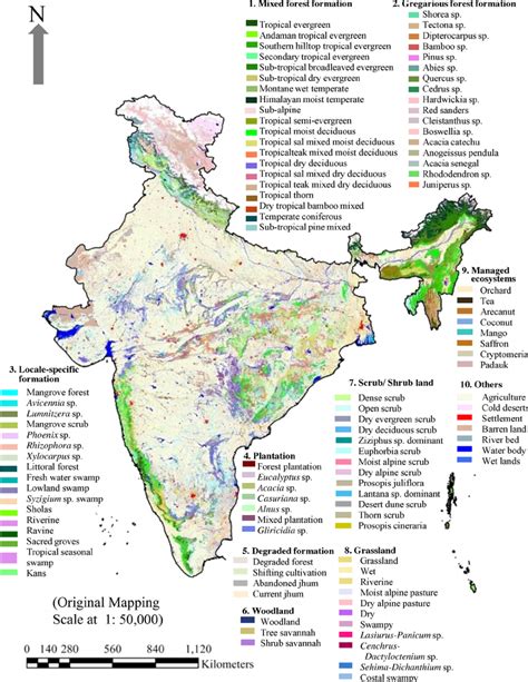 India Vegetation Map