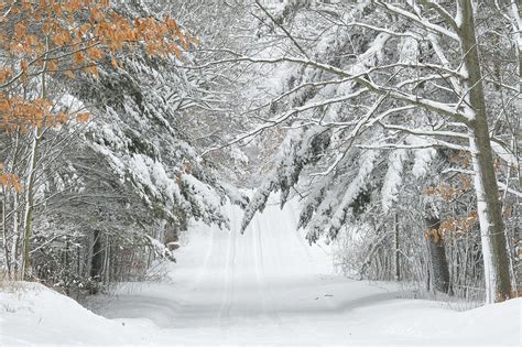 Michigan Nut Photography | Winter in Michigan