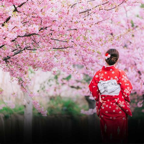 NATIONAL CHERRY BLOSSOM FESTIVAL - March 20 - April 16, 2023 - National Today