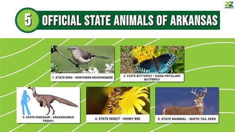 Discover the 5 Official State Animals of Arkansas - A-Z Animals