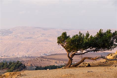 "Jordan Landscape On Sunset" by Stocksy Contributor "Ilya" - Stocksy