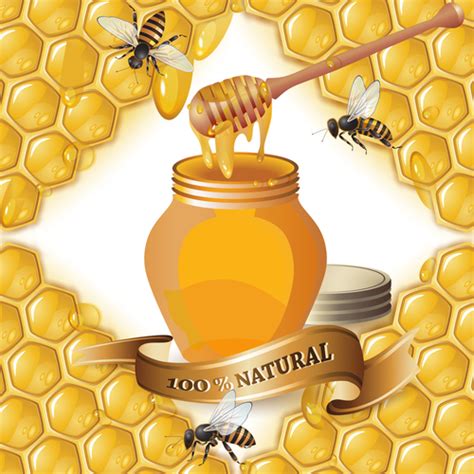 Honey bee creative poster vectors 01 free download