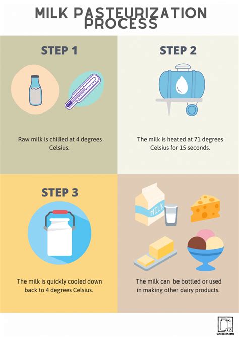 Milk Pasteurization Process - Cheese Kettle