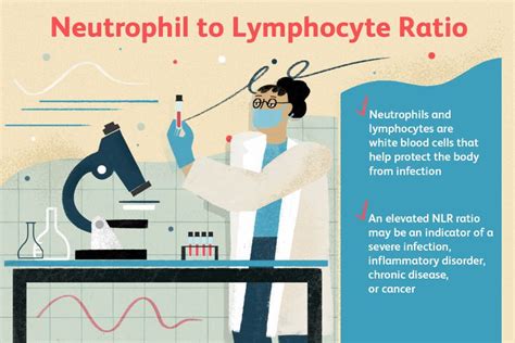 Causes of High Neutrophils and Low Lymphocytes