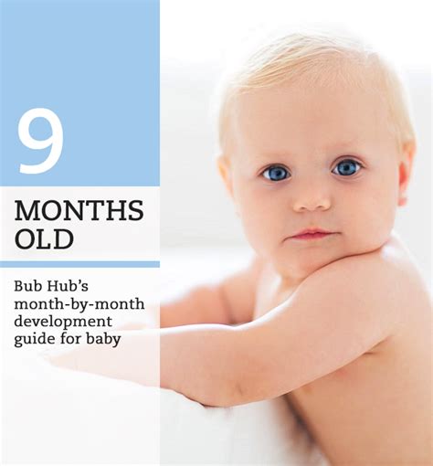 What should my 9 month old baby be doing? 9 - 10 month milestones | Bub Hub