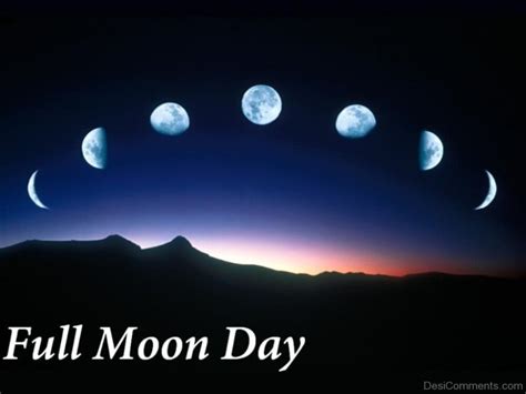 Adorable Pic Of Full Moon Day - Desi Comments