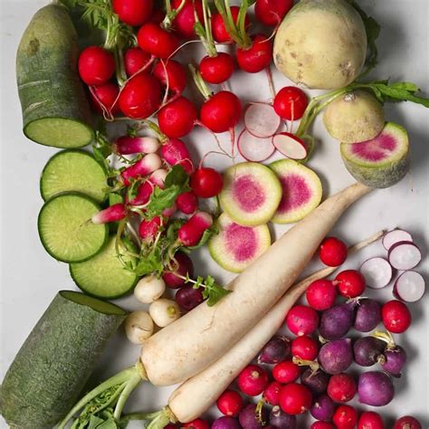 Different Types Of Radish – Radish Benefits, 59% OFF