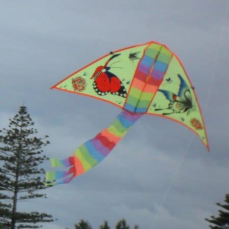 Ripstop Nylon Kites - A Short Look At This Ideal Sail Fabric