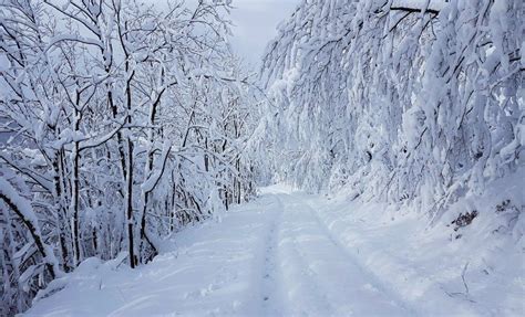 [PHOTOS] Winter Arrives with Stunning Snow Fall for Parts of Croatia ...