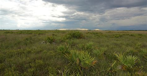 Camp at Kissimmee Prairie Preserve State Park, Okeechobee, Florida