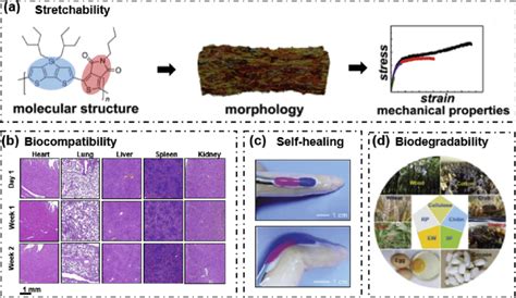 Substrates or encapsulation materials for flexible electronics. (a)... | Download Scientific Diagram