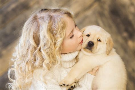 Stock Photo The little girl and Labrador 04 free download