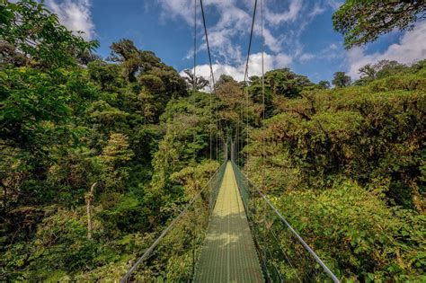 Monteverde Hanging Bridges Monteverde, Photography Photos, Chad ...