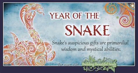 35 Snake Years Chinese Astrology - Astrology Today