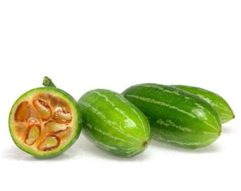 Tindora Plant/Cutting – Seeds of India