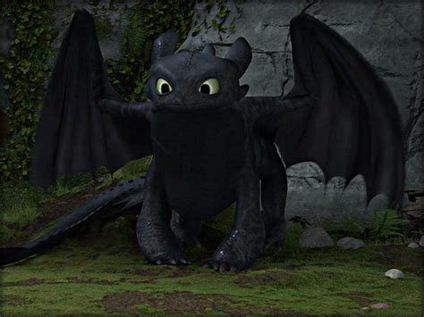 Toothless ☆ - How to Train Your Dragon Wallpaper (32987235) - Fanpop