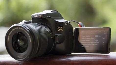 Best Canon cameras for beginners - Camera Jabber