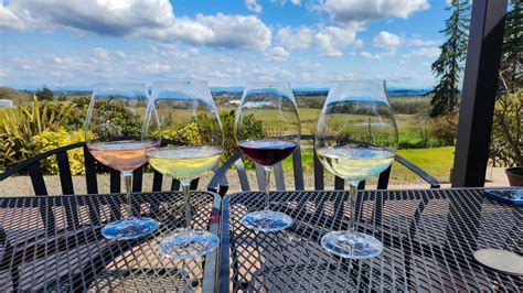 The 5 Best McMinnville Wineries for first-timers (Map Included)