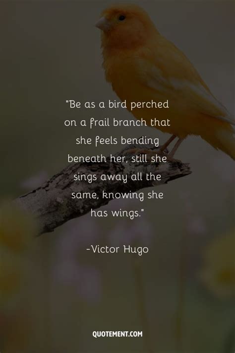 130 Inspiring Bird Quotes To Embrace The Wings Of Wisdom