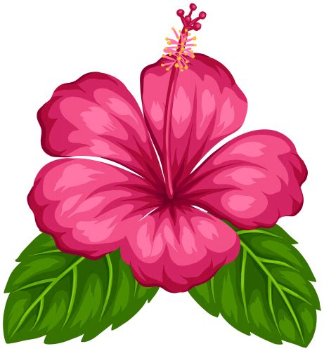 Imágenes prediseñadas de flores exóticas PNG | Flores para dibujar, Flores pintadas, Flor de moana
