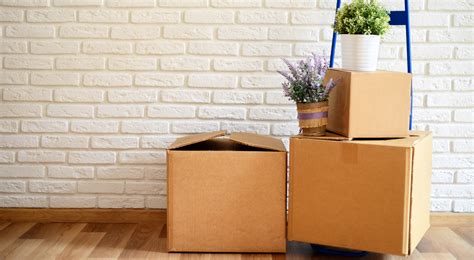 The big move - moving out tips