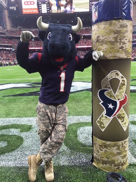 Texans Mascot