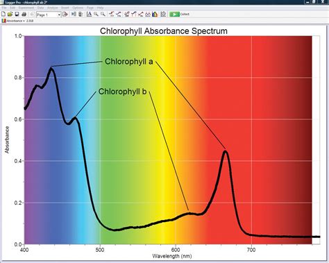 Go Direct® SpectroVis® Plus Spectrophotometer - Vernier