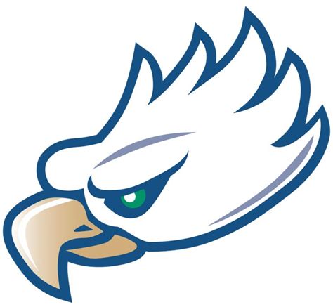 Florida Gulf Coast Eagles Logo (FGCU) | Gulf coast florida, Florida gulf coast university, Gulf ...