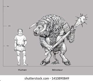 Monster Illustration Minotaur Human Anatomy Comparison Stock ...