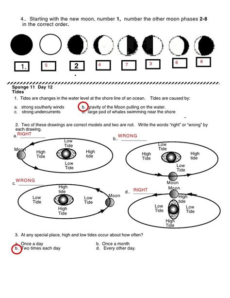 Order of Planets (Worksheet answers )