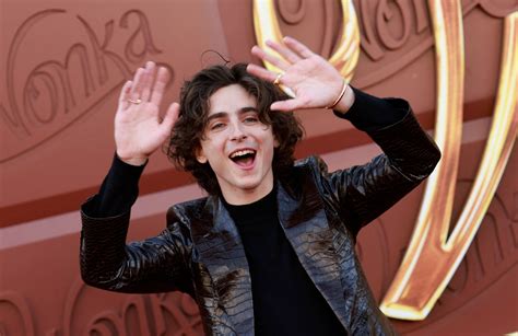 Timothee Chalamet charms box office with 'Wonka' debut of $39M | Daily Sabah