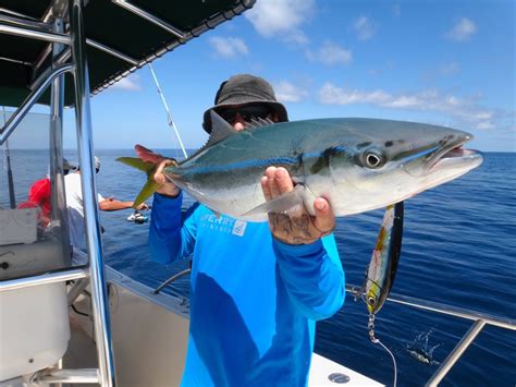 Panama's Best Rainbow Runner Photos - Come Fish Panama