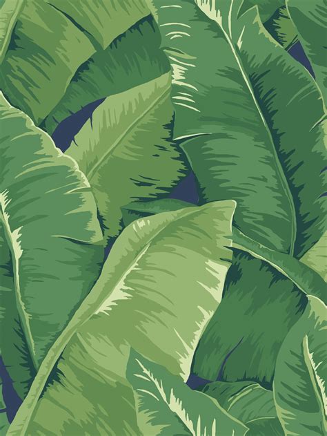 🔥 [50+] Tropical Banana Leaf Wallpapers | WallpaperSafari