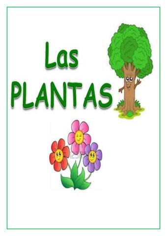 Las plantas son seres vivos by Docentes Creativos RD - Issuu