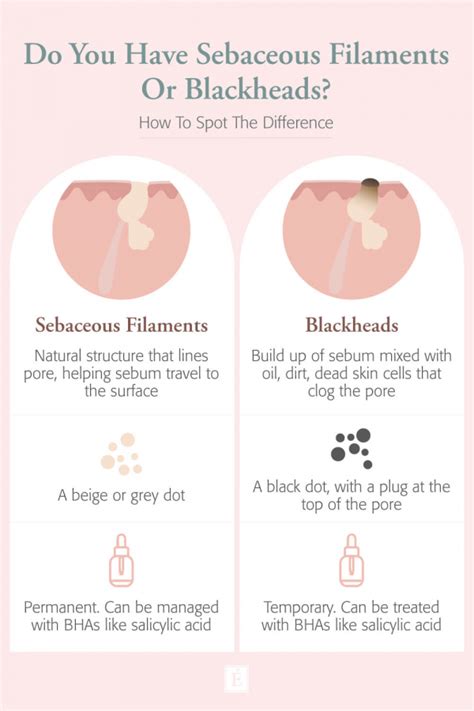 Sebaceous Filaments Vs. Blackheads - What’s The Difference? | Eminence Organic Skin Care