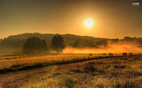 Misty Sonnenaufgang Felder Wald Hintergrundbilder | Misty | Scenery ...